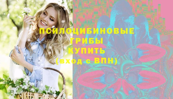 дмт Алексин