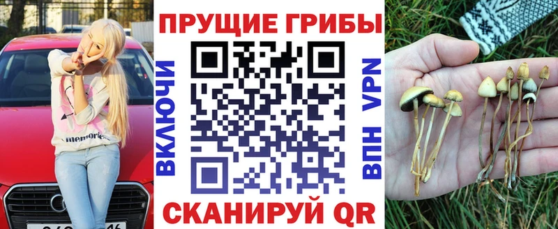 Псилоцибиновые грибы Cubensis  где купить наркотик  MEGA tor  Самара 
