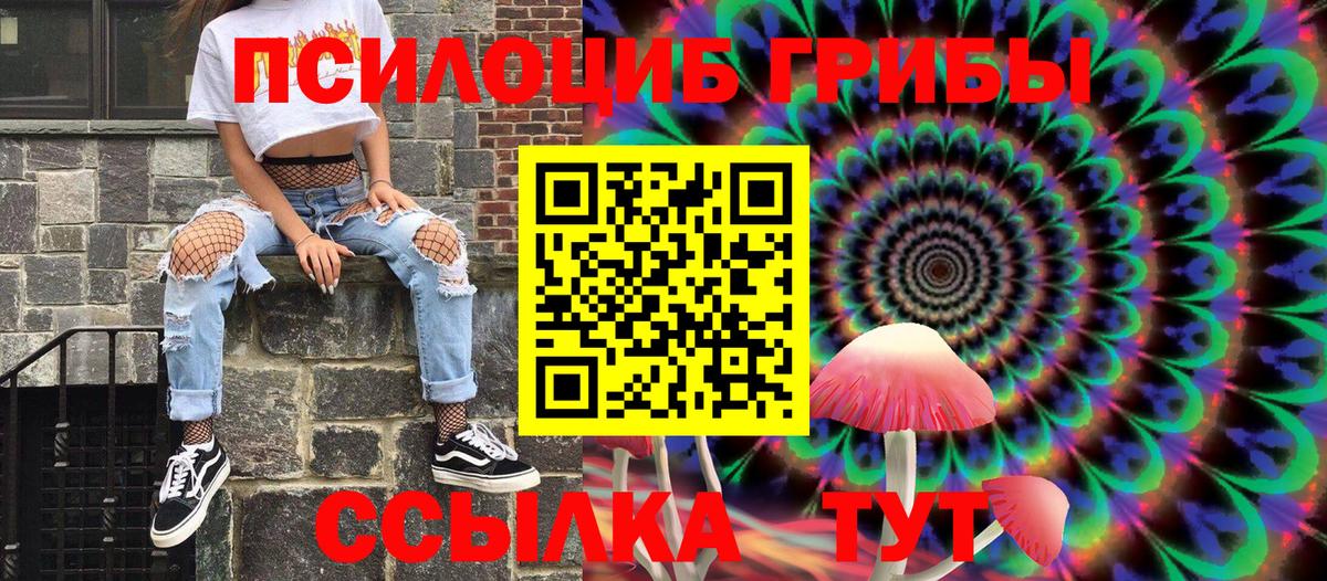 Псилоцибиновые грибы мицелий Самара