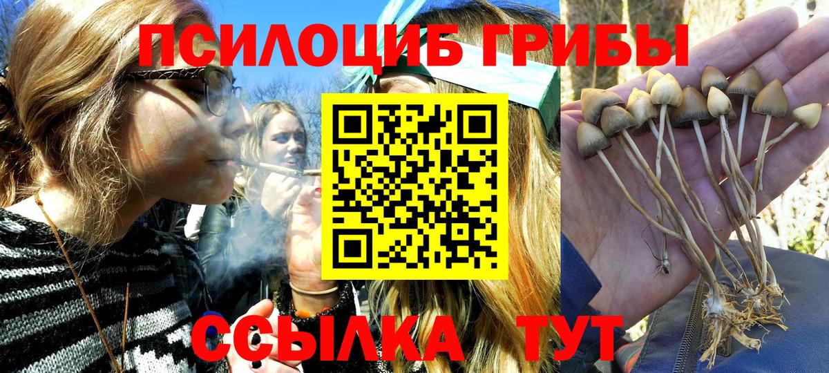 Псилоцибиновые грибы Cubensis  Псилоцибиновые грибы Psilocybe  Самара  Вход с VPN 